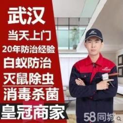 武汉灭鼠灭蟑螂灭白蚁除虫除蚁提供灭跳蚤、除螨、灭蚂蚁服务